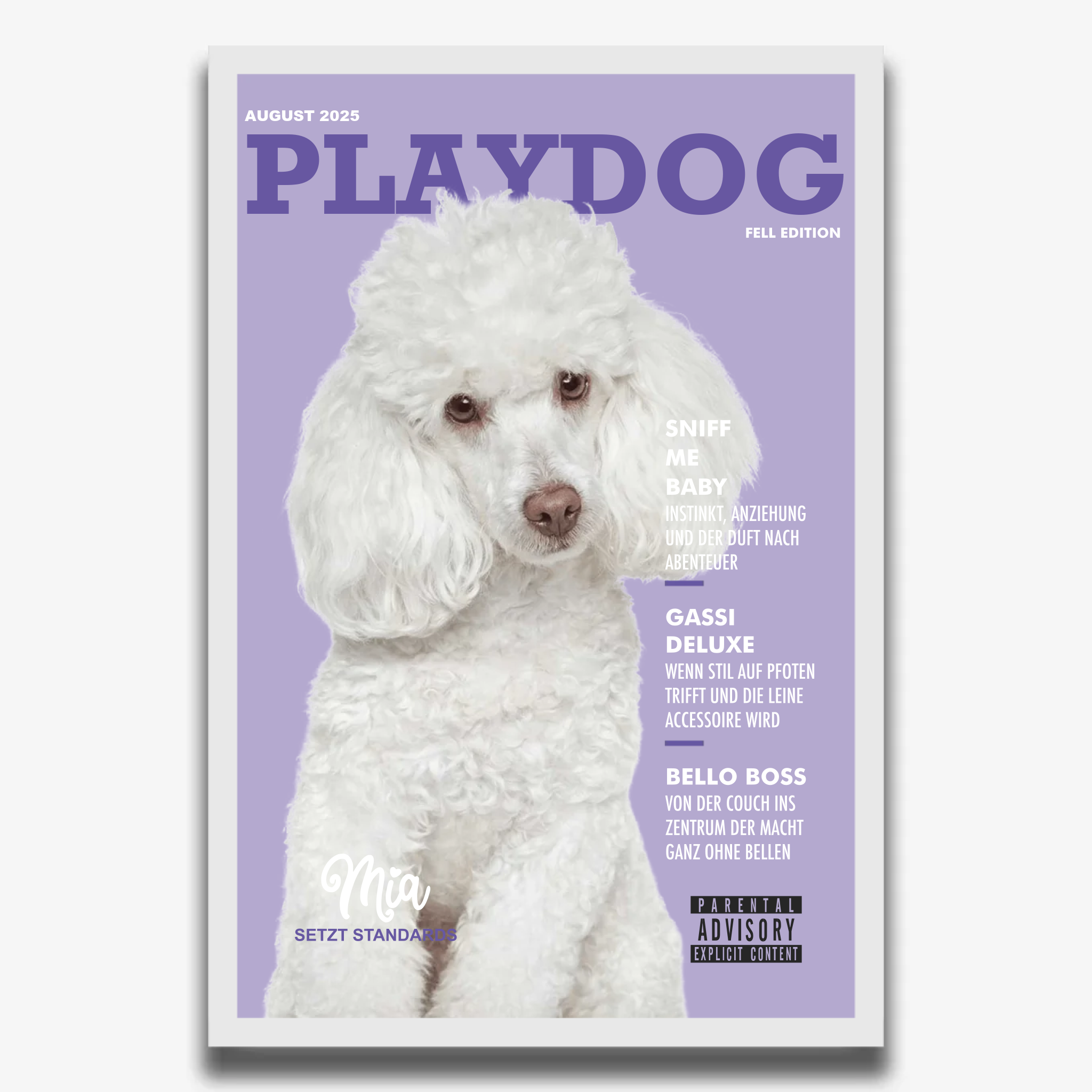 "PLAYDOG" Poster