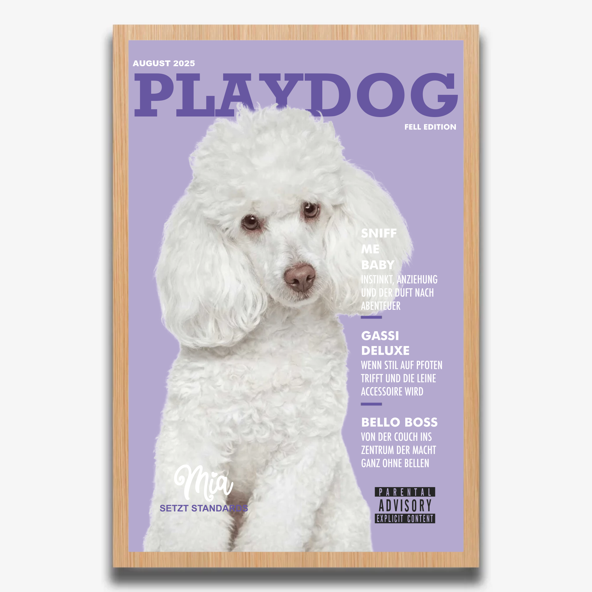 "PLAYDOG" Poster
