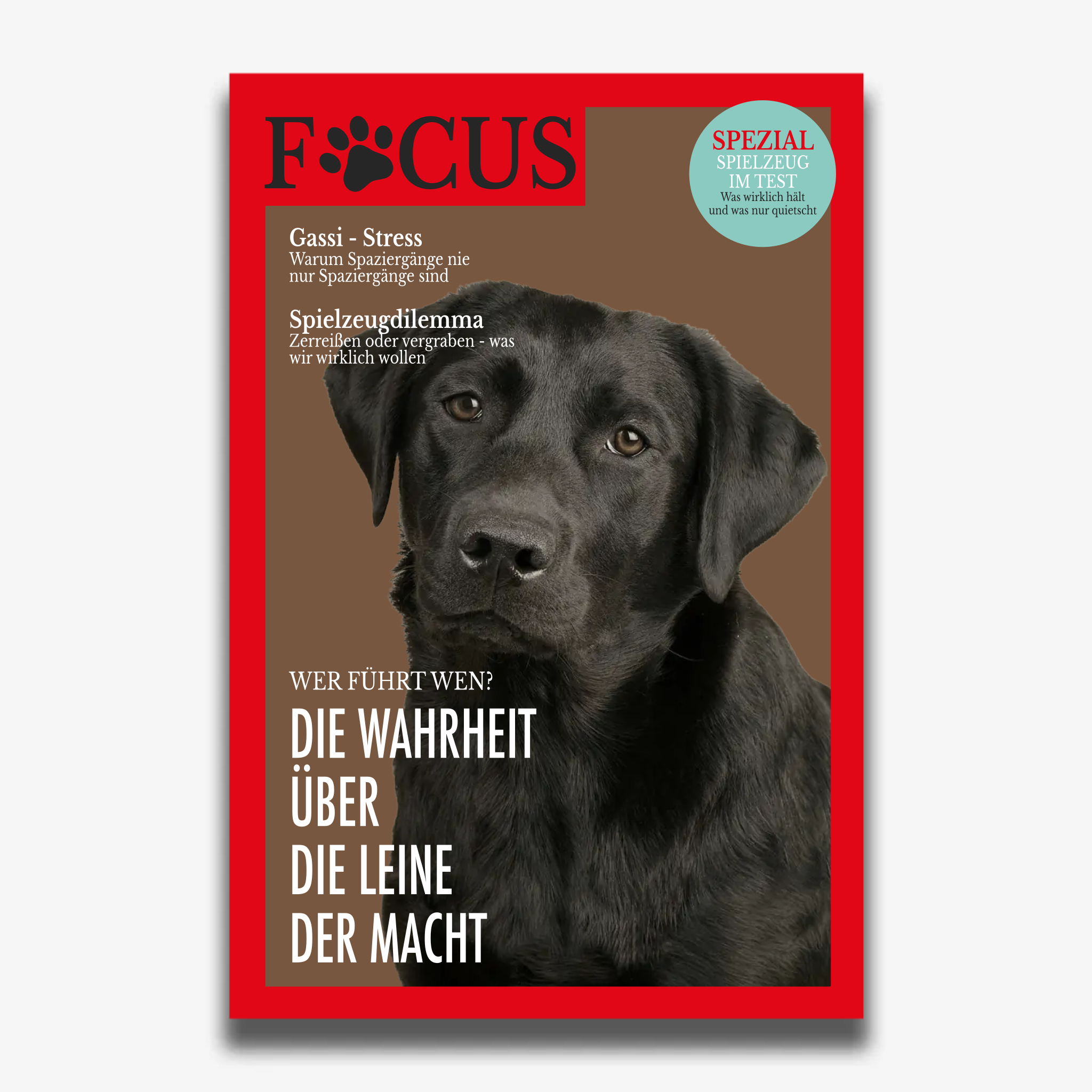 "FOCUS" poster for dogs
