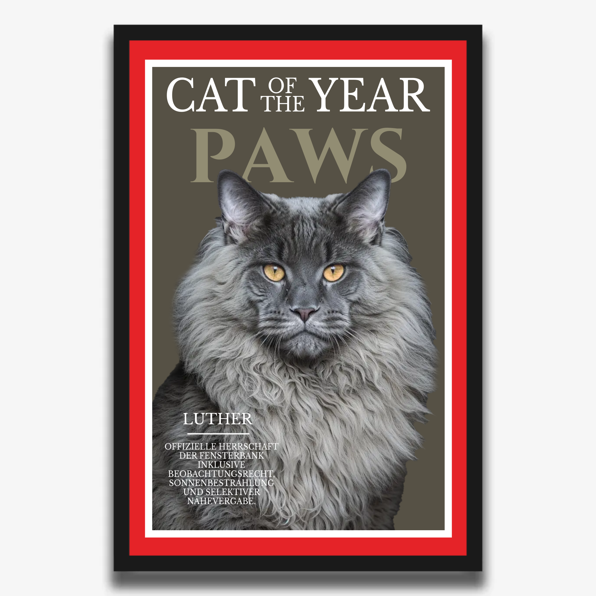 "PAWS" Poster für Katzen