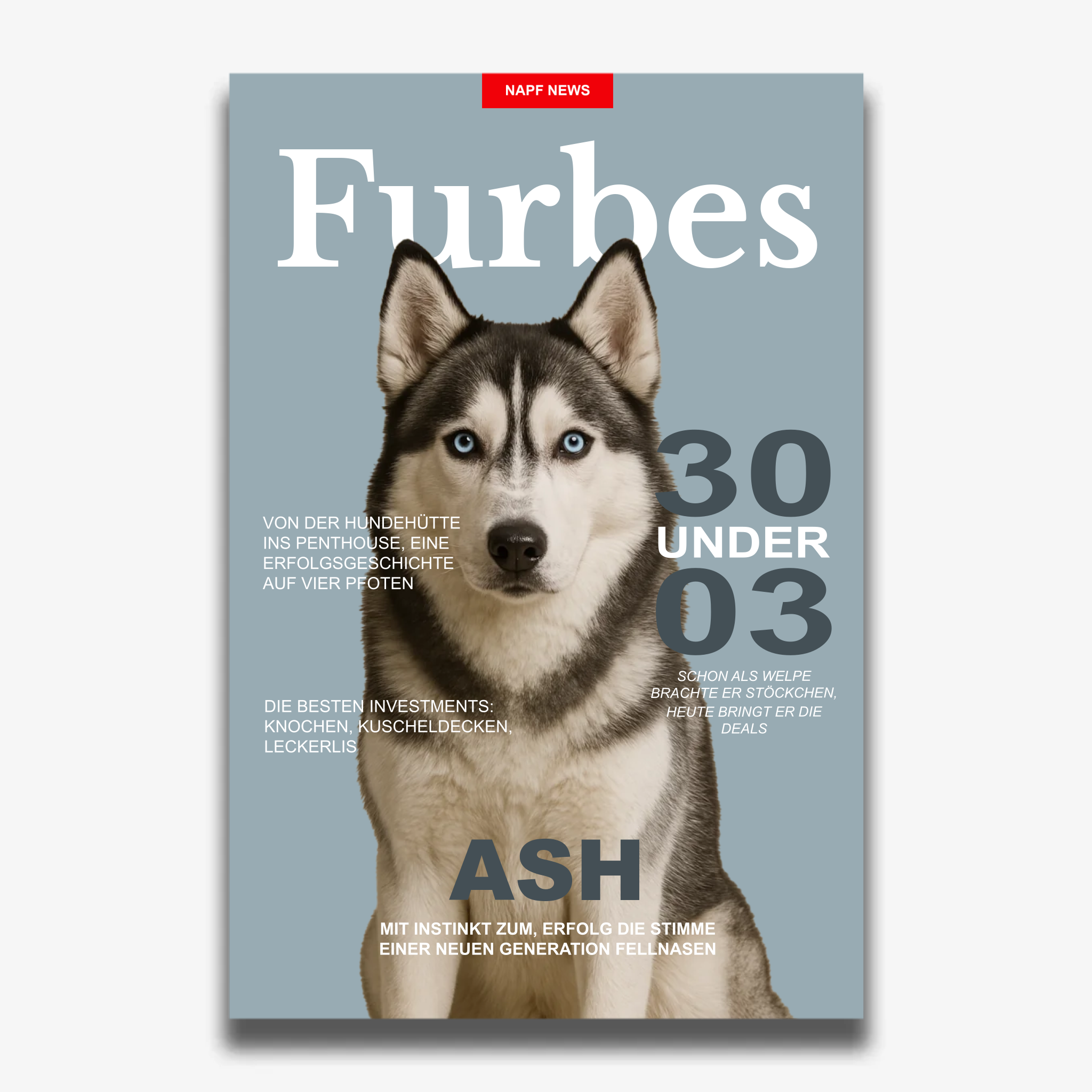 "FURBES" Poster für Hunde