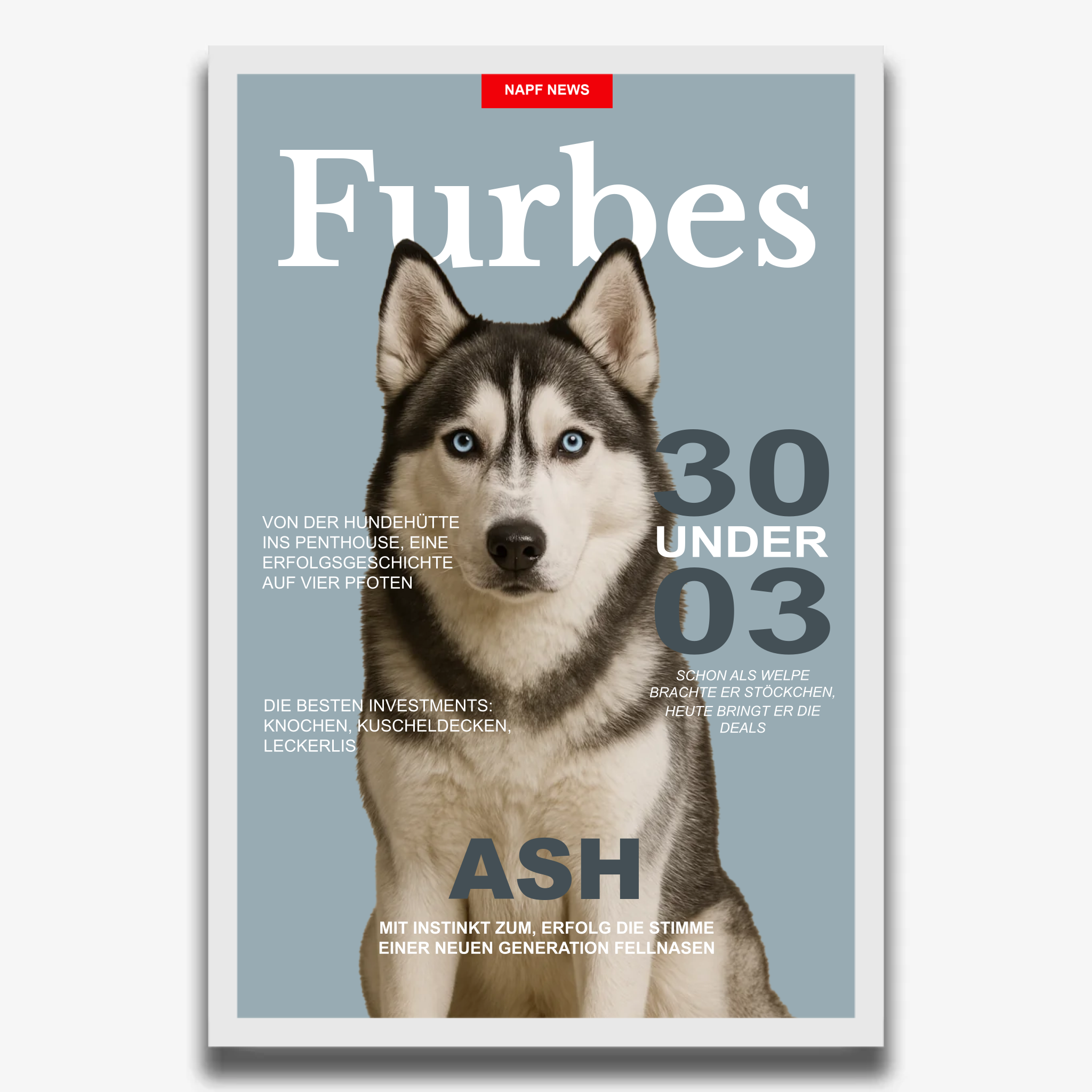 "FURBES" Poster für Hunde