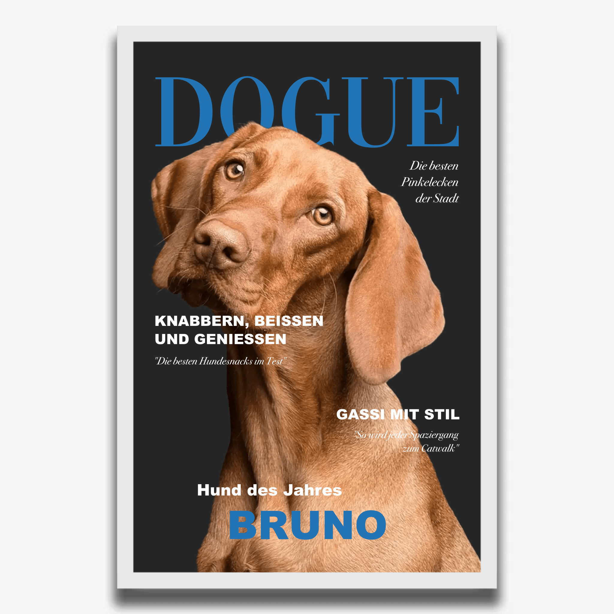 "DOGUE" Poster - PetWorld