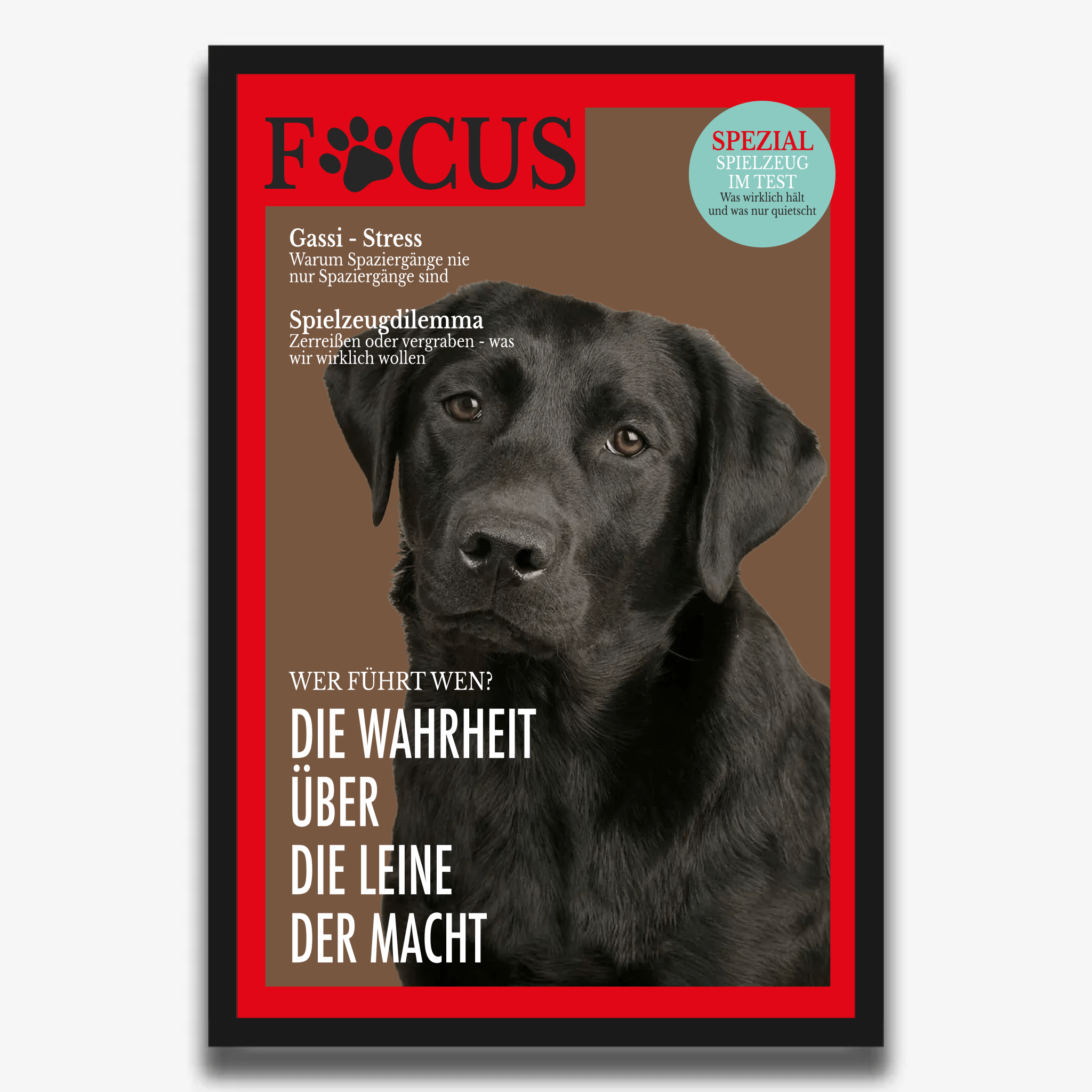 "FOCUS" Poster für Hunde - PetWorld