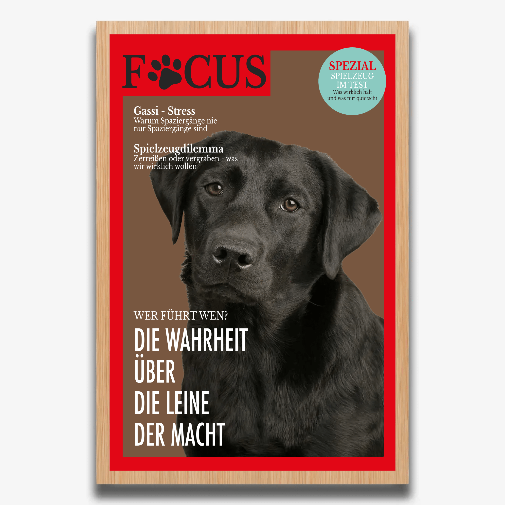 "FOCUS" Poster für Hunde - PetWorld