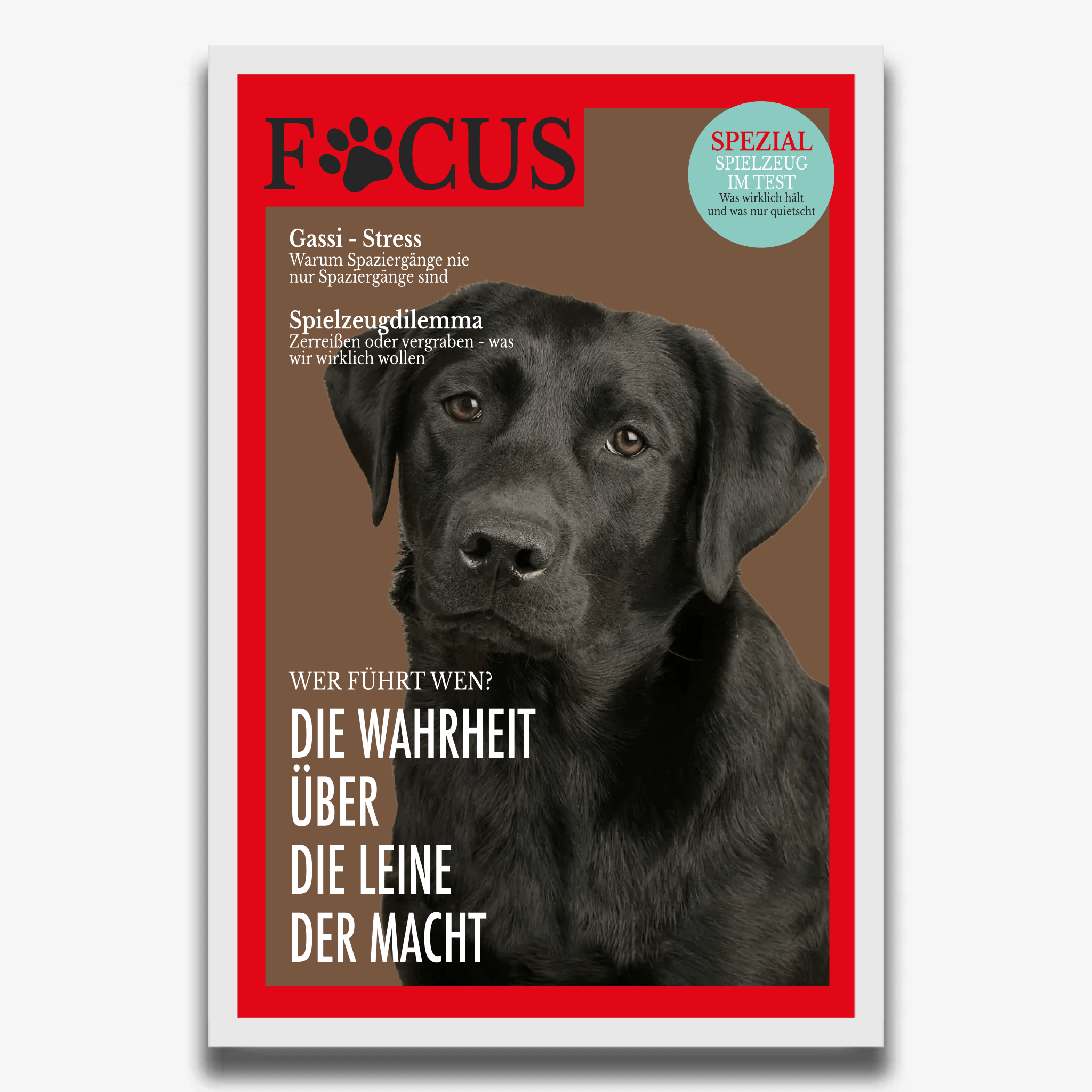 "FOCUS" Poster für Hunde - PetWorld
