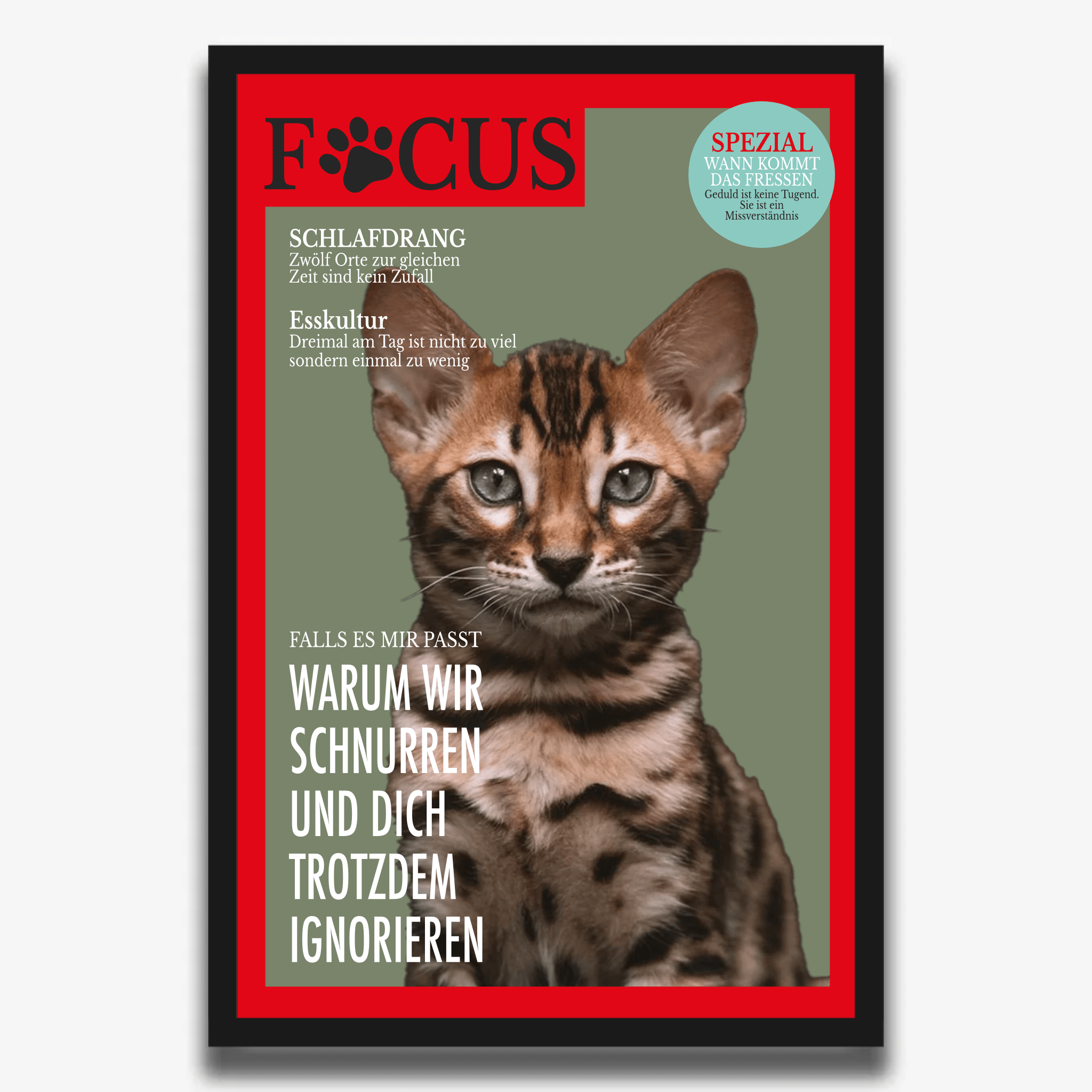 "FOCUS" Poster für Katzen - PetWorld