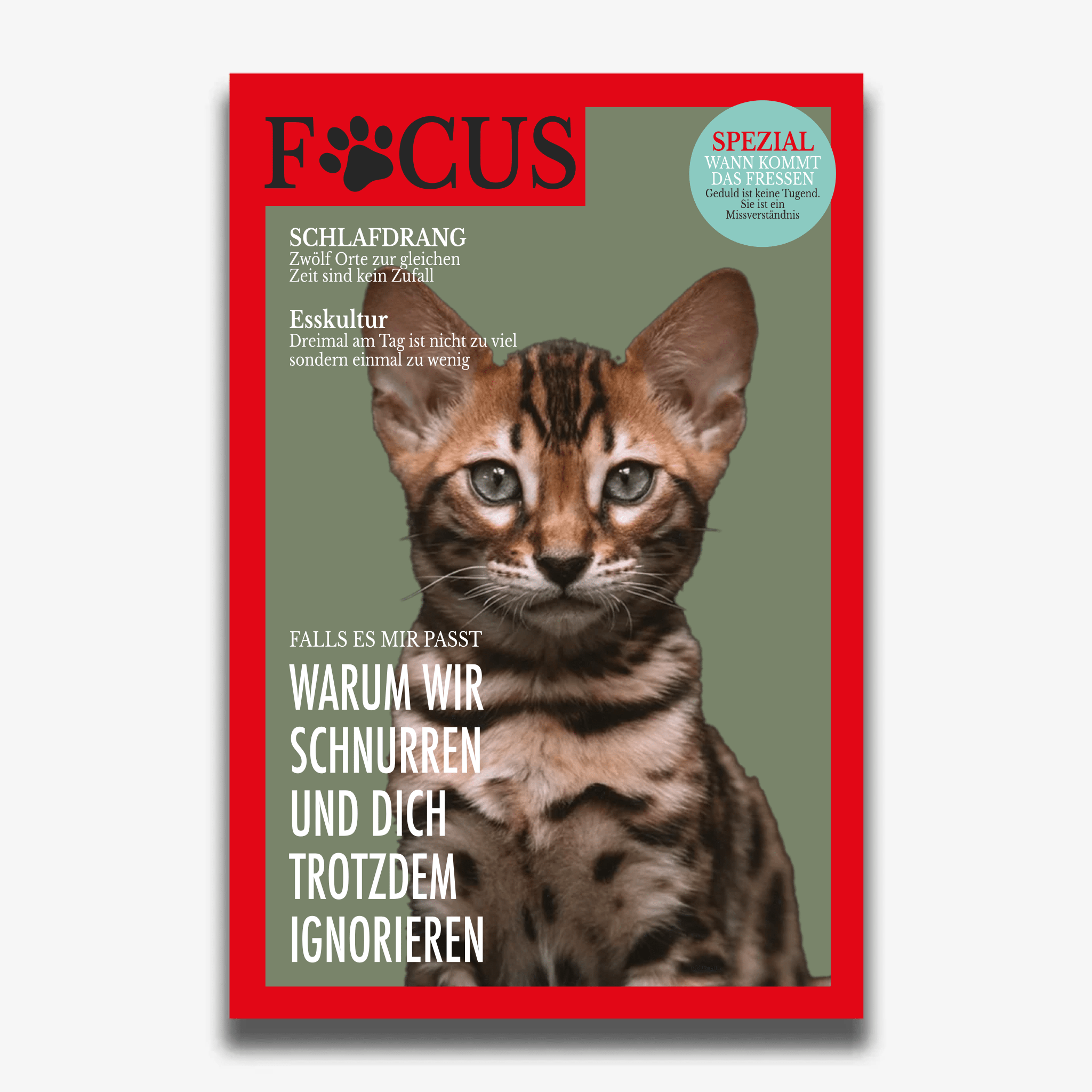 "FOCUS" Poster für Katzen - PetWorld
