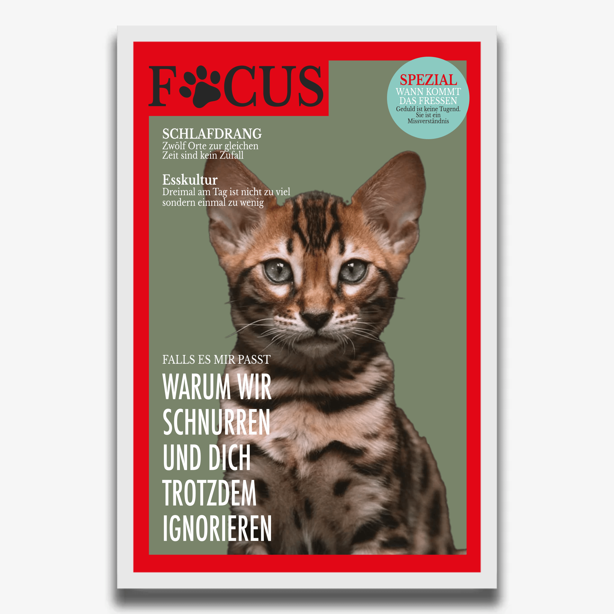 "FOCUS" Poster für Katzen - PetWorld