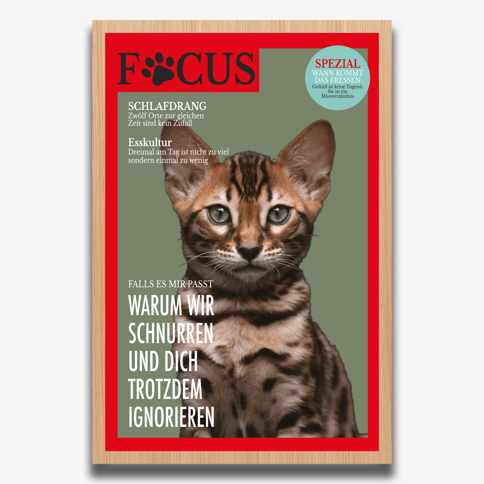 "FOCUS" Poster für Katzen - PetWorld