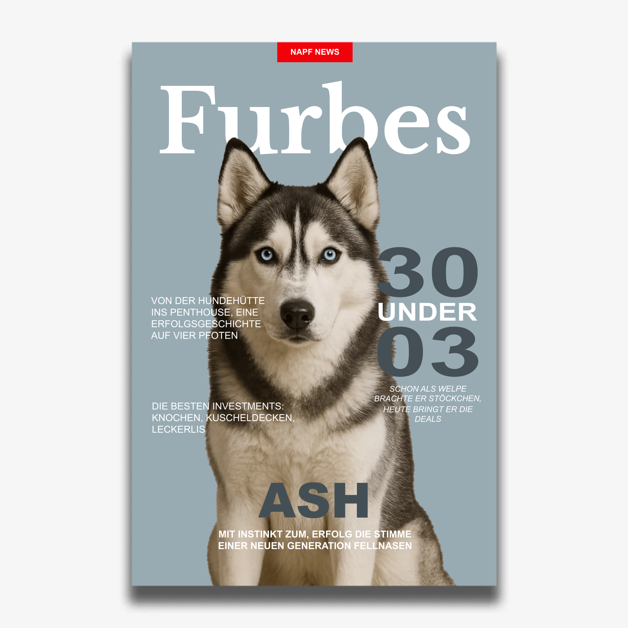 "FURBES" Poster für Hunde - PetWorld