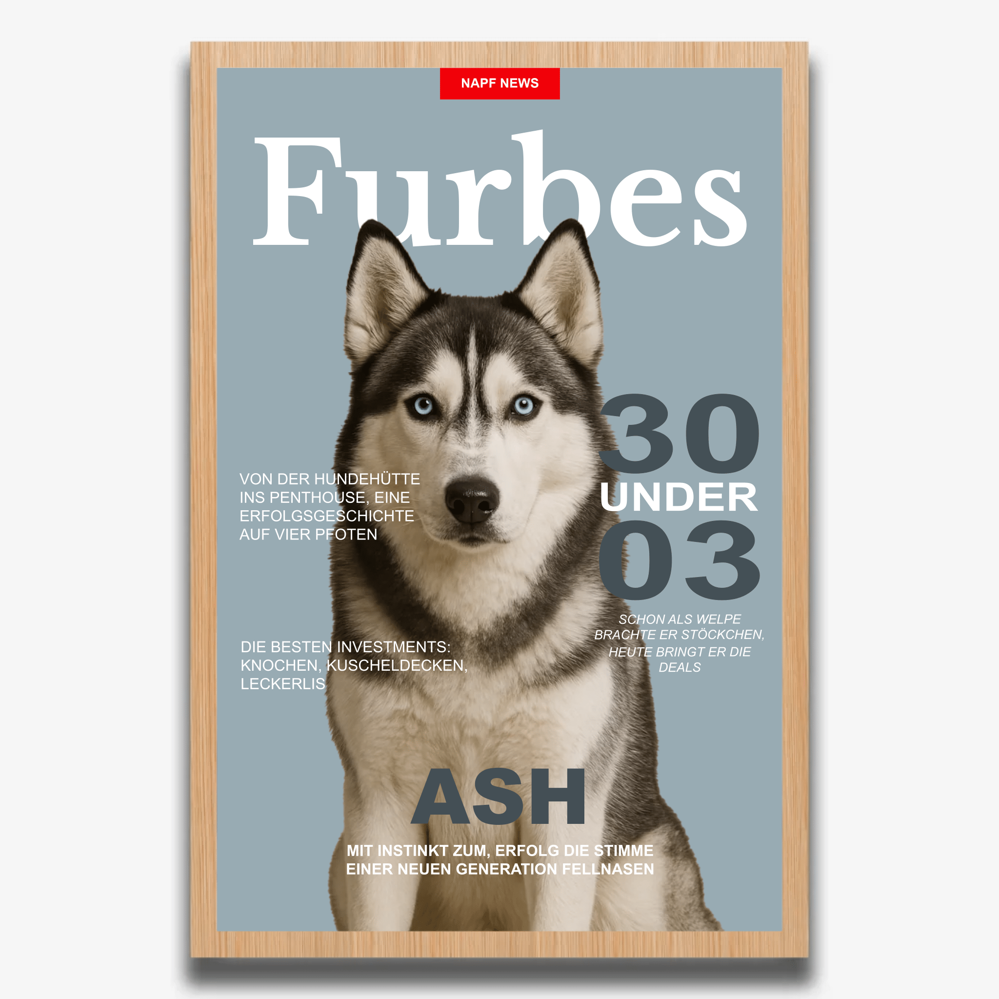 "FURBES" Poster für Hunde - PetWorld
