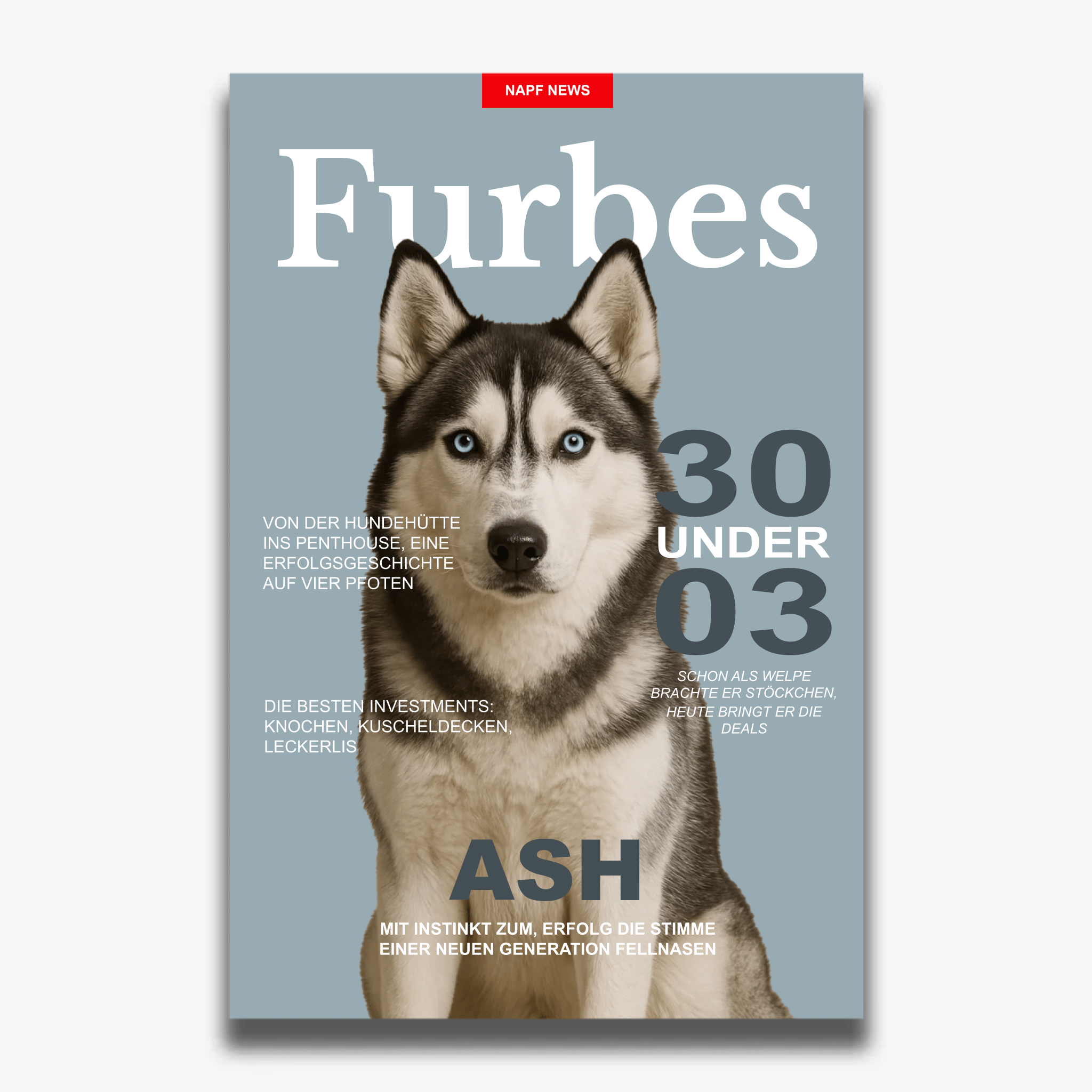 "FURBES" Poster für Hunde - PetWorld