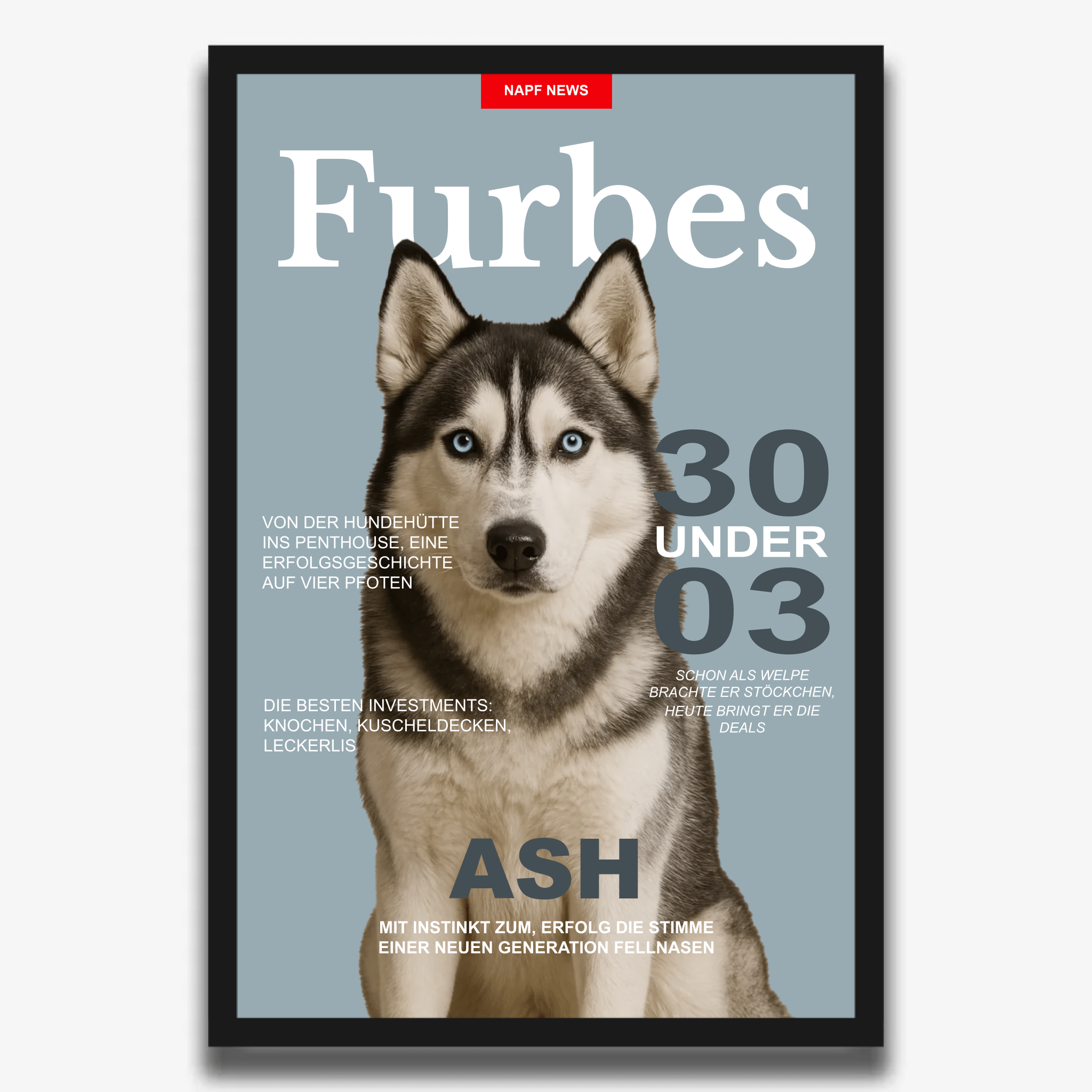 "FURBES" Poster für Hunde - PetWorld