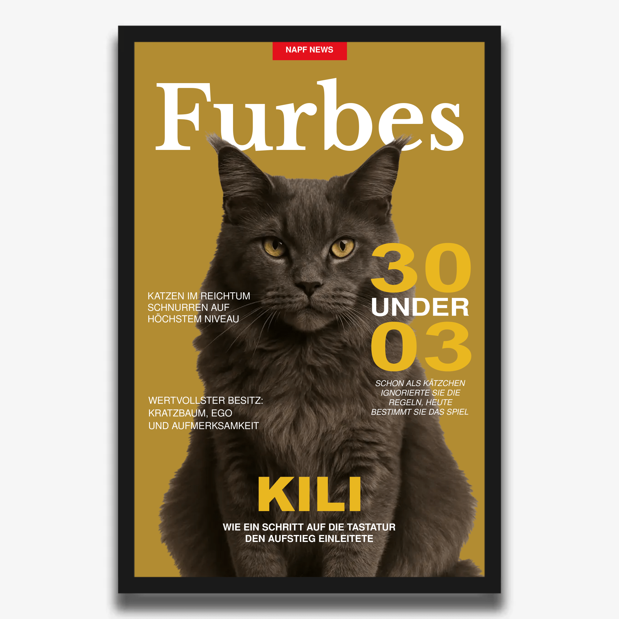 "FURBES" Poster für Katzen - PetWorld
