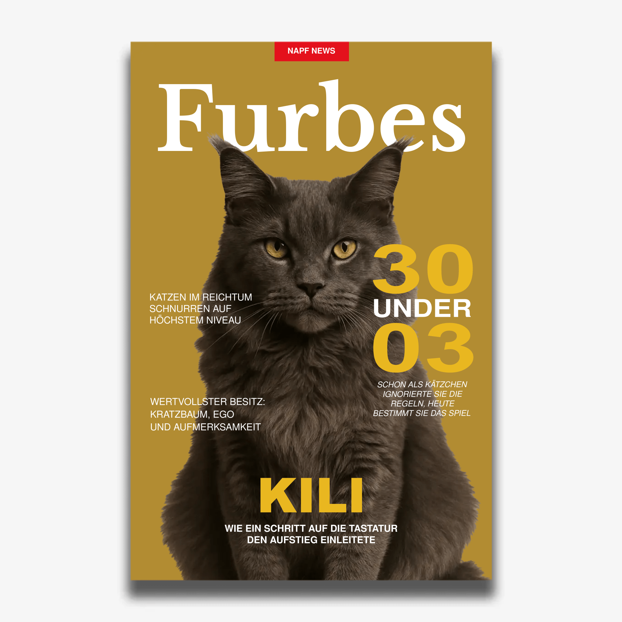 "FURBES" Poster für Katzen - PetWorld