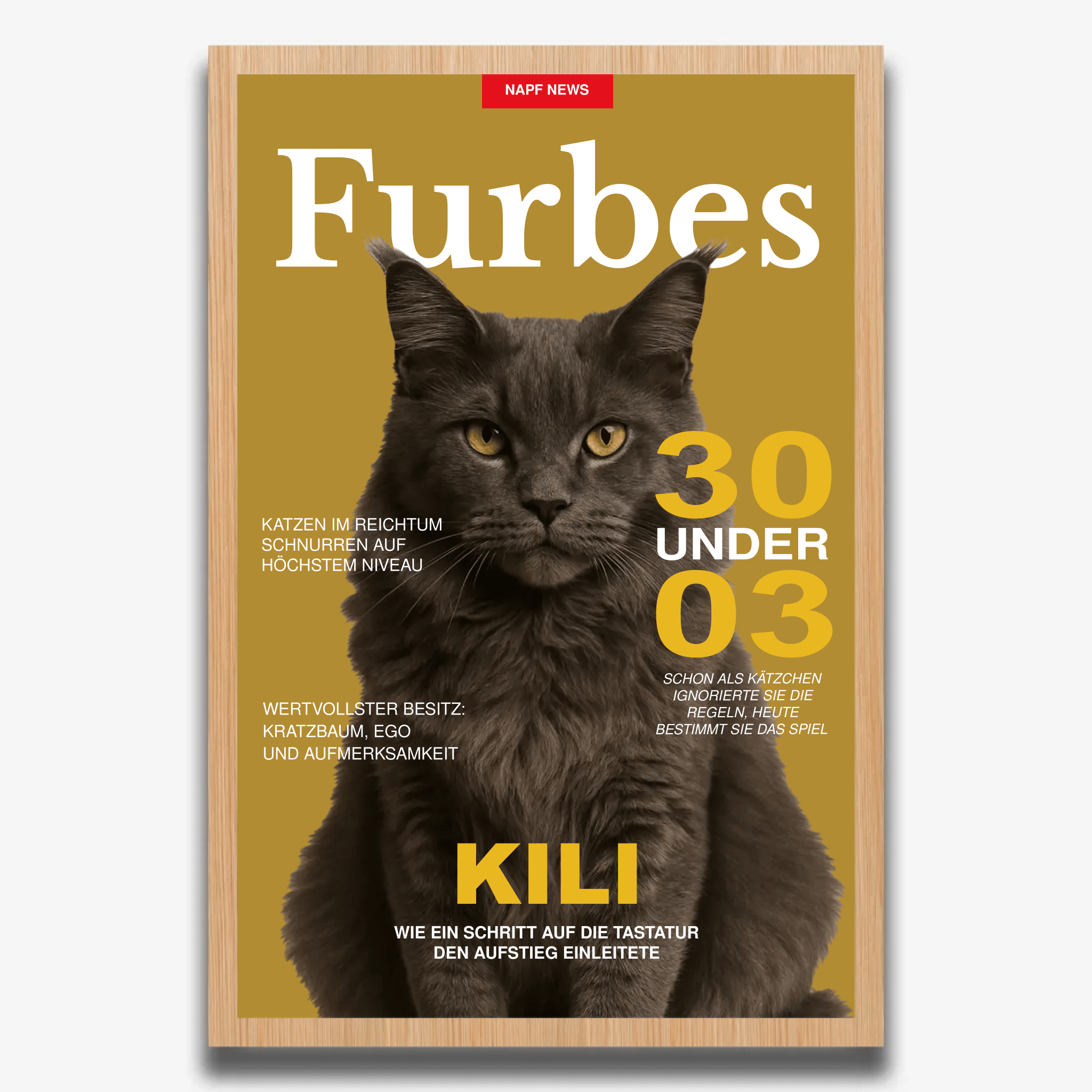 "FURBES" Poster für Katzen - PetWorld
