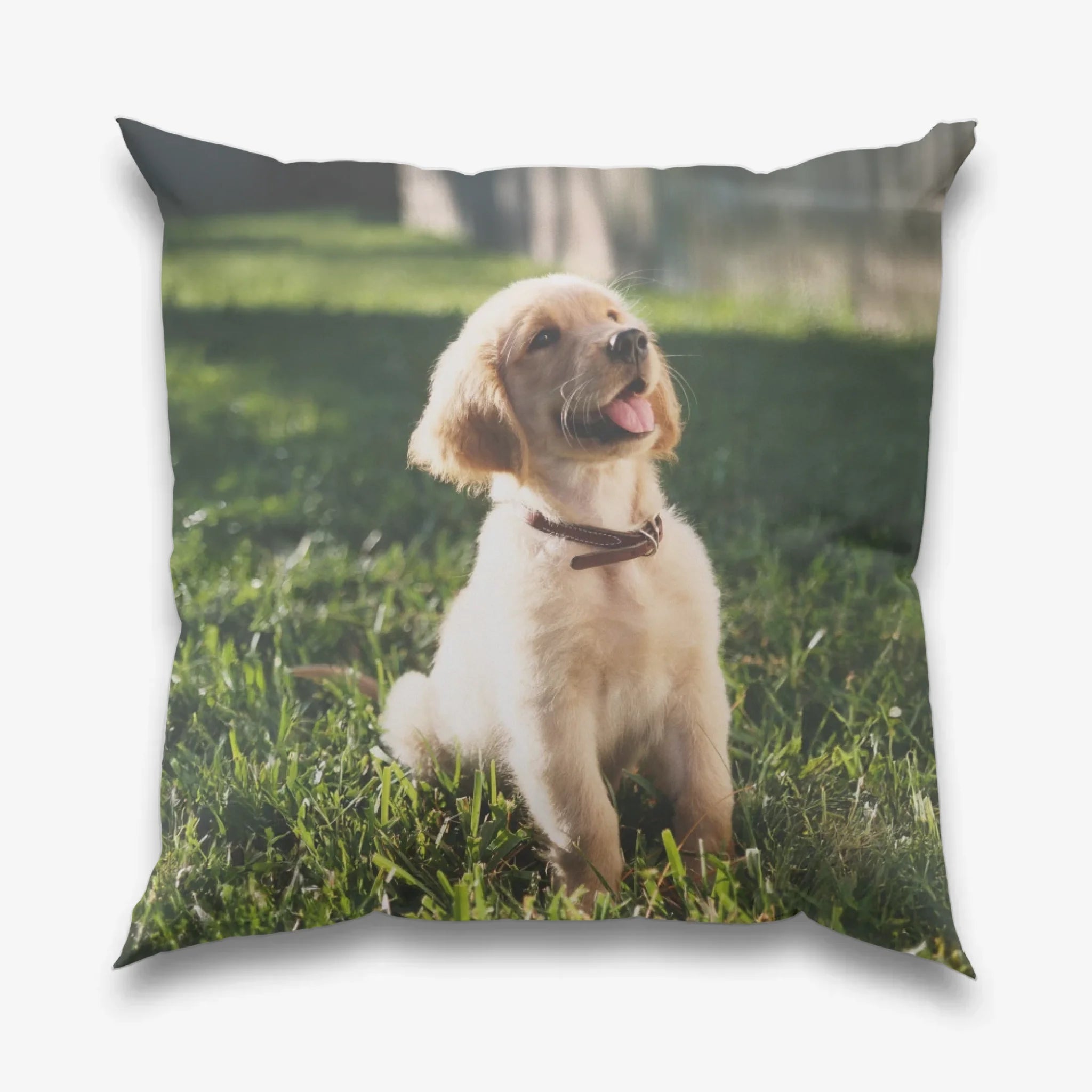 Kissen "Wiese" – Personalisiert mit Name & Foto - PetWorld