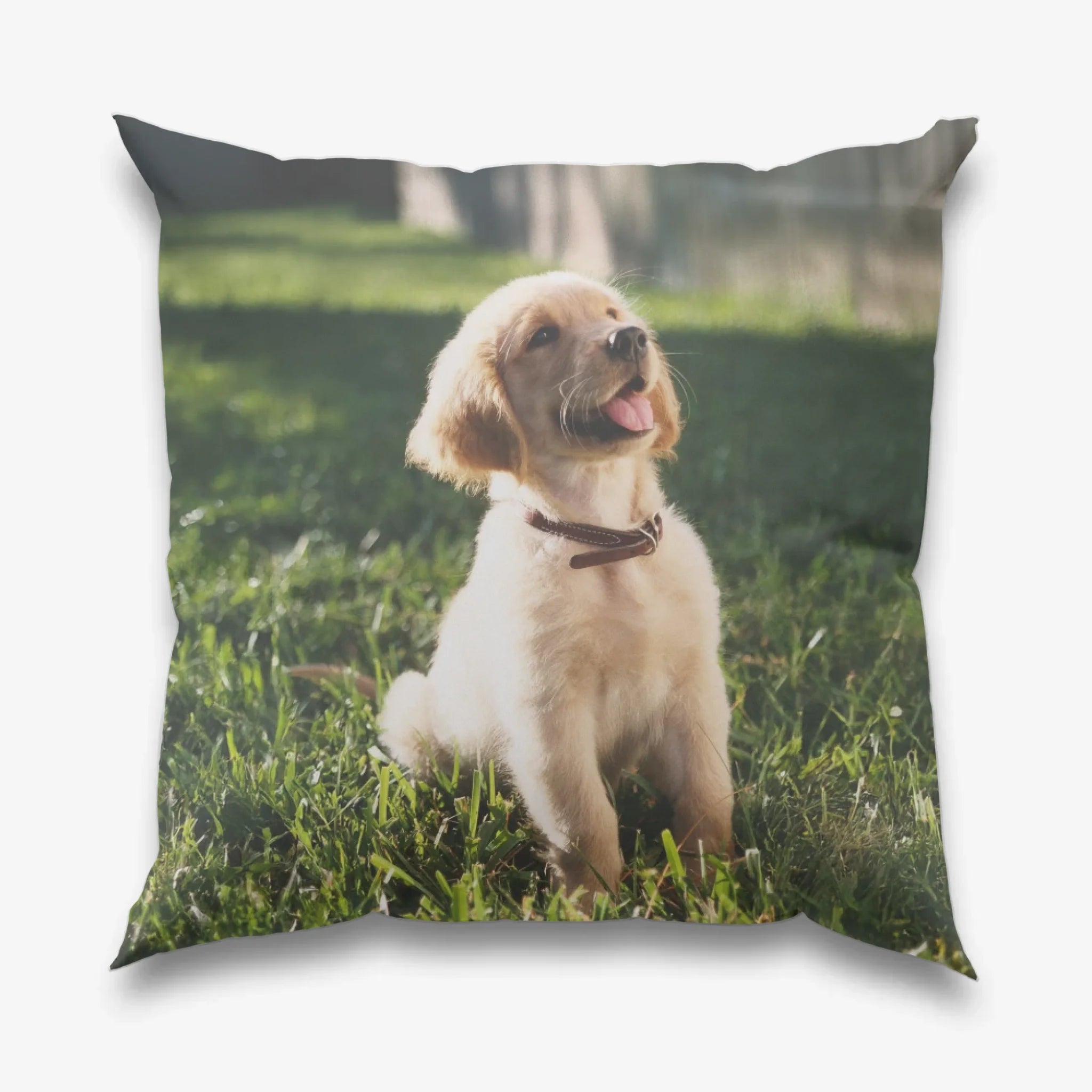 Kissen "Wiese" – Personalisiert mit Name & Foto - PetWorld