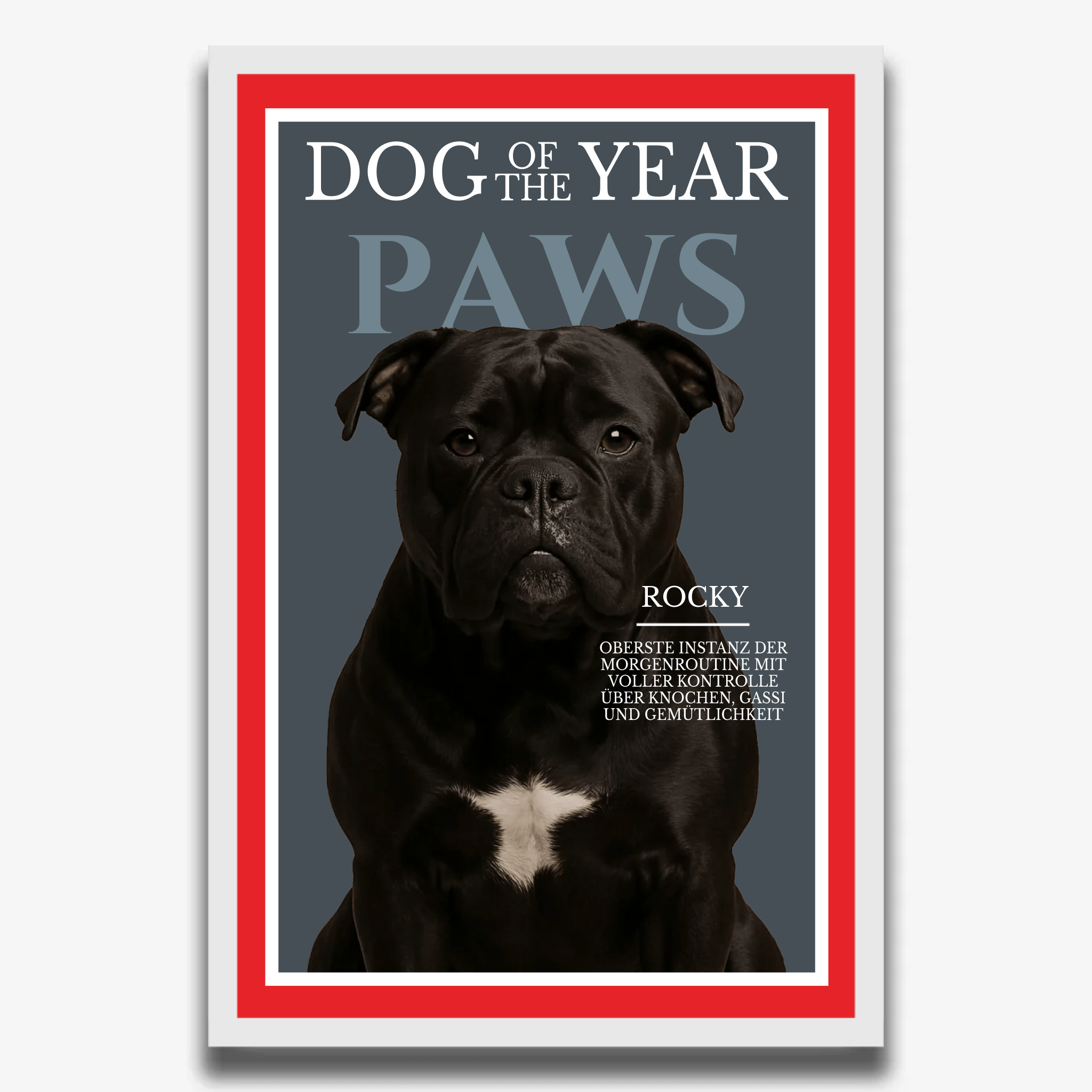 "PAWS" Poster für Hunde - PetWorld