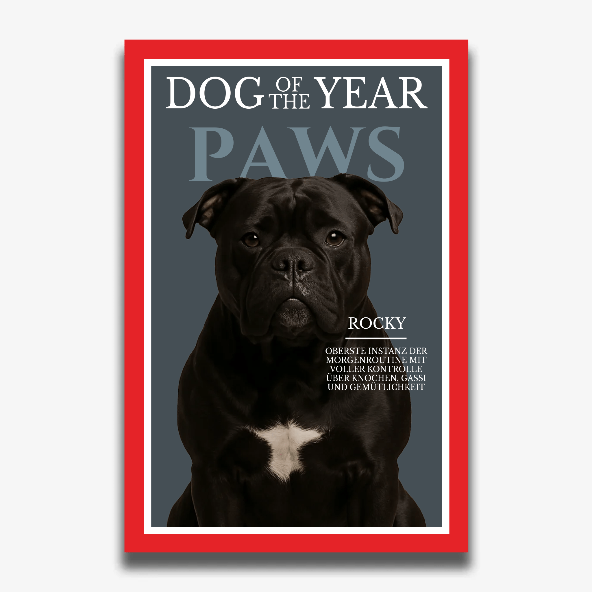 "PAWS" Poster für Hunde - PetWorld