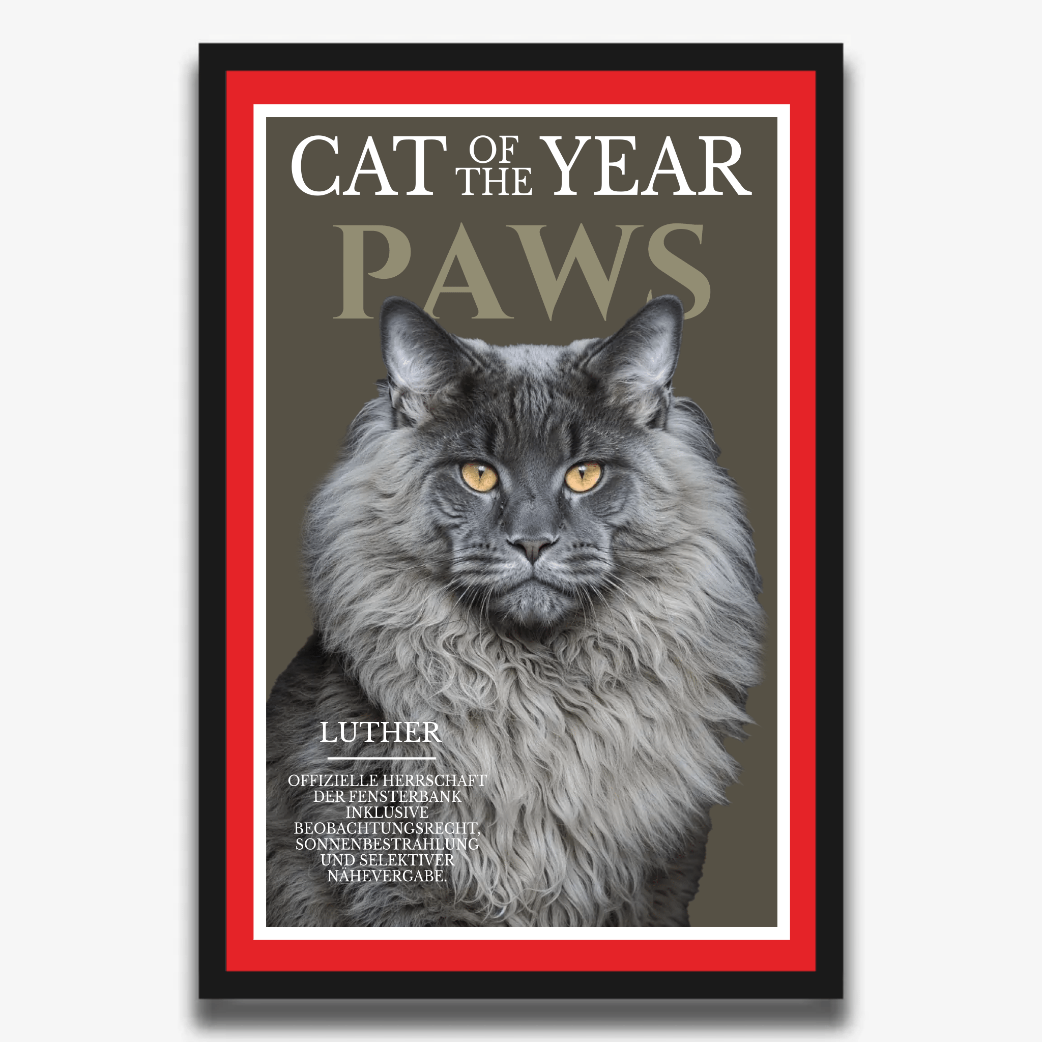 "PAWS" Poster für Katzen - PetWorld