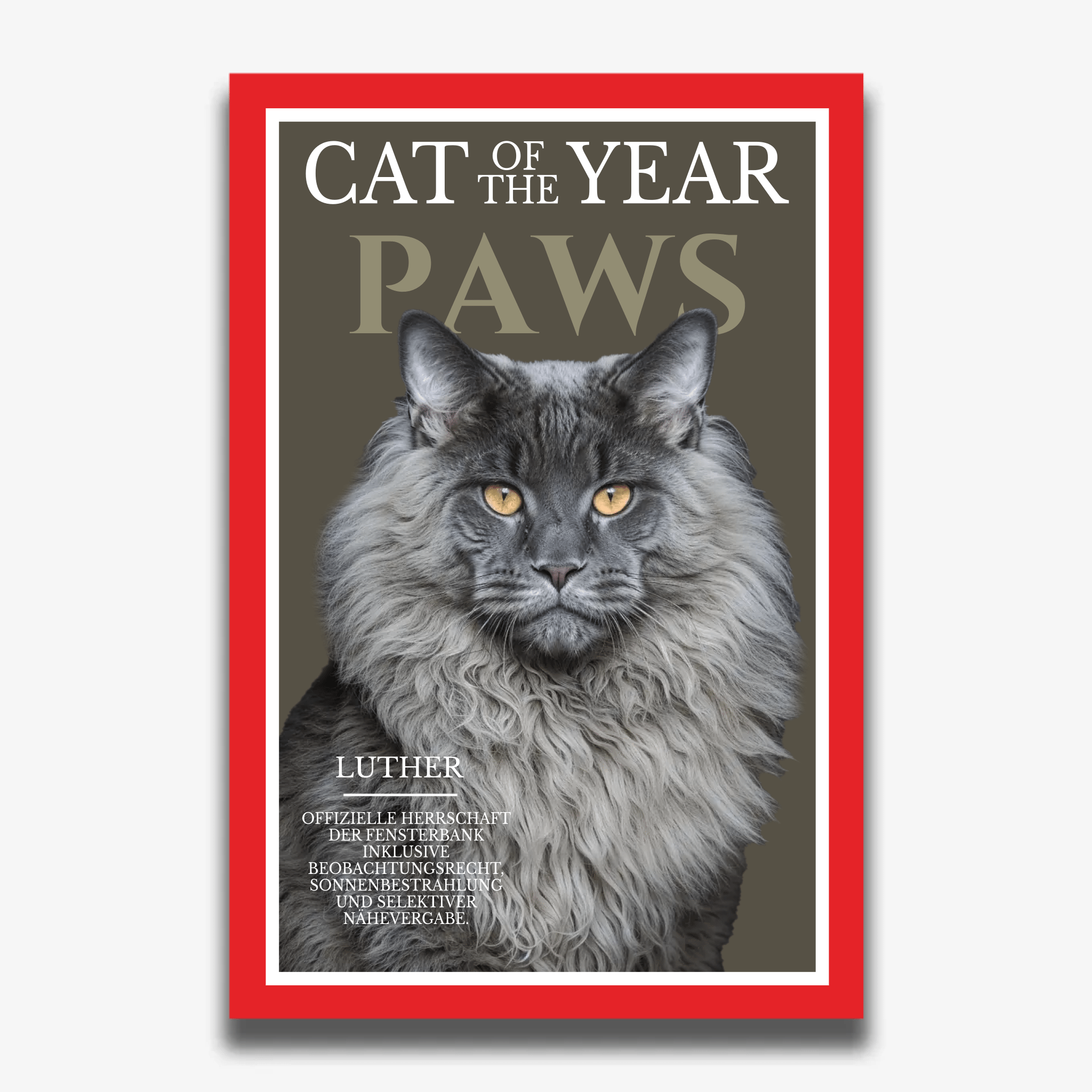 "PAWS" Poster für Katzen - PetWorld