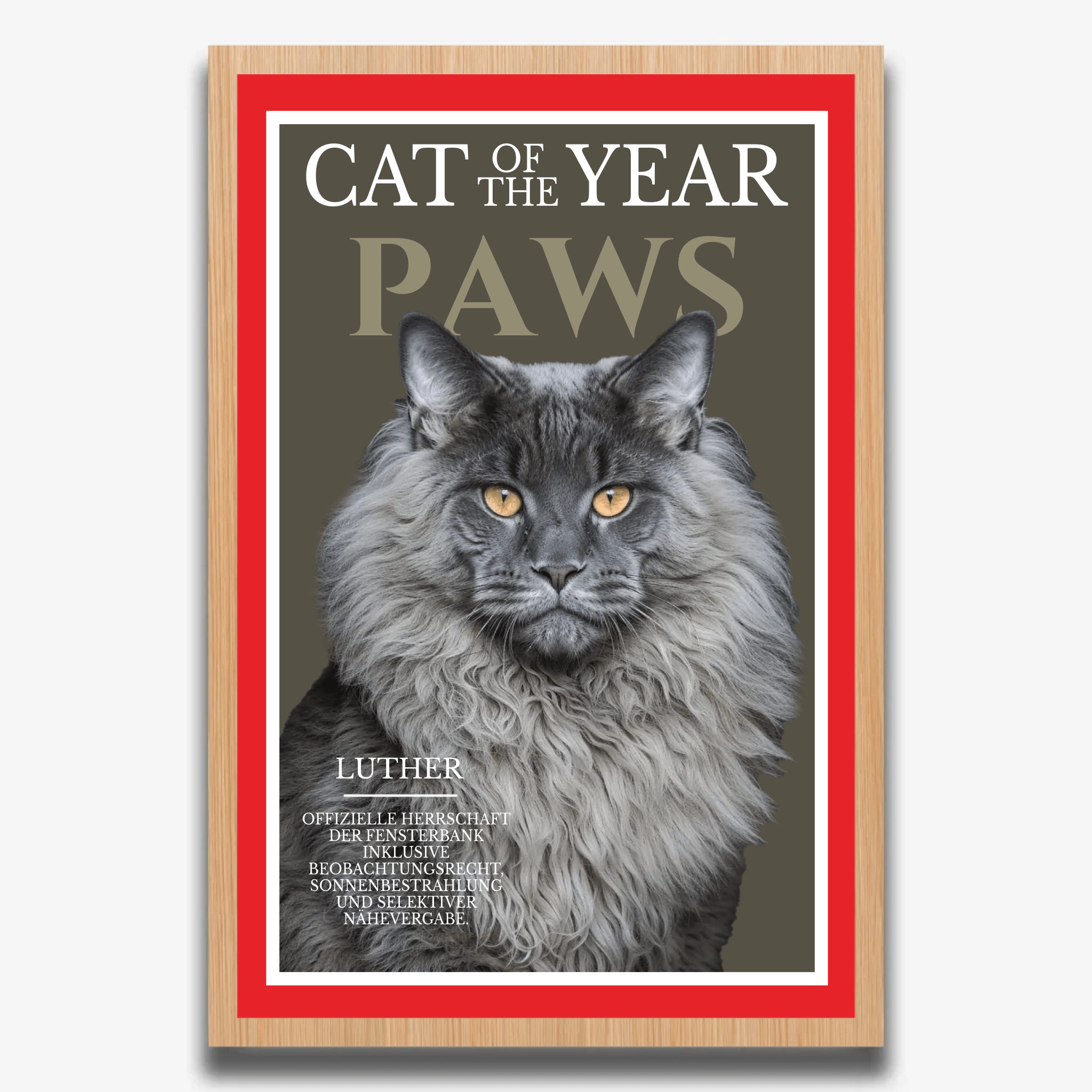 "PAWS" Poster für Katzen - PetWorld