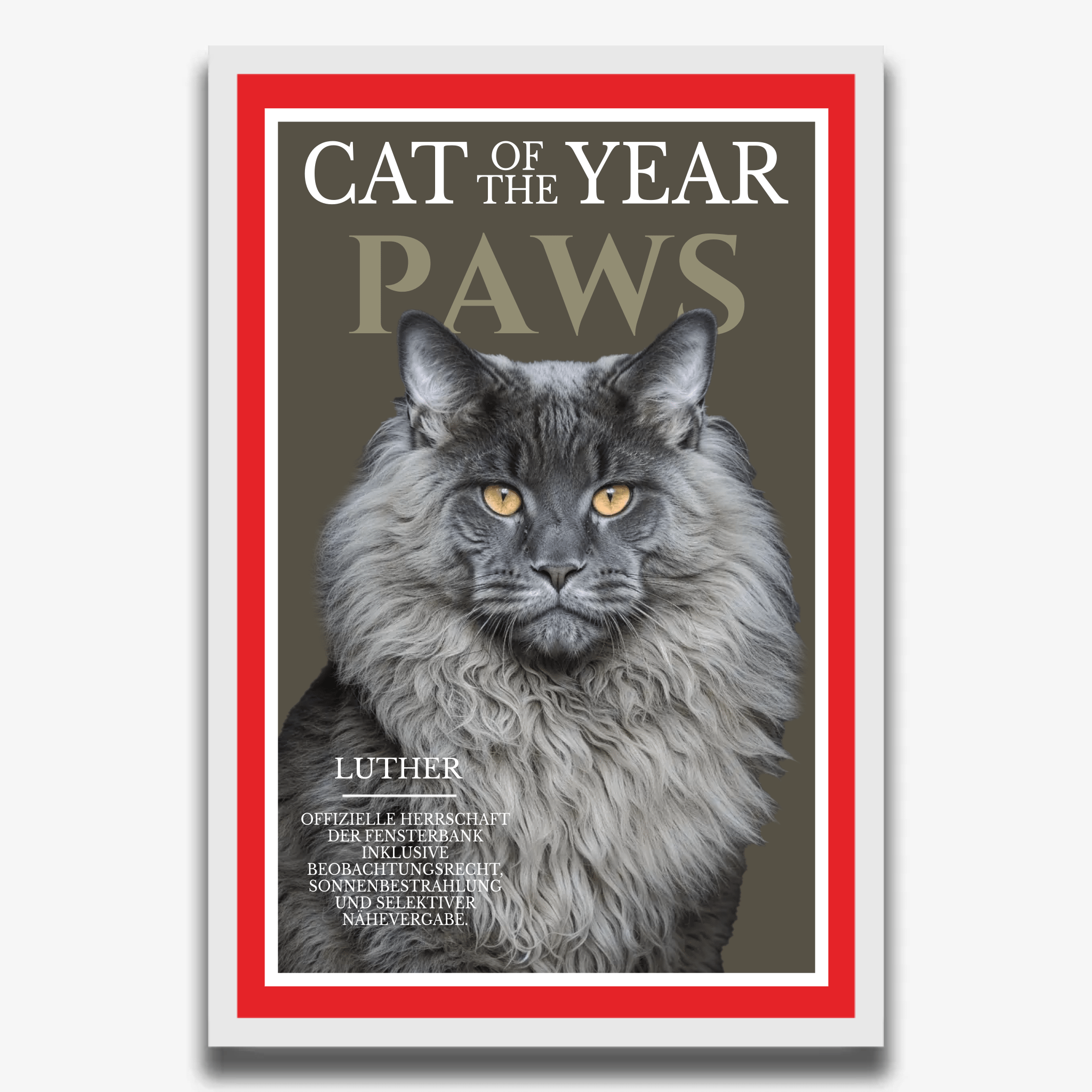 "PAWS" Poster für Katzen - PetWorld