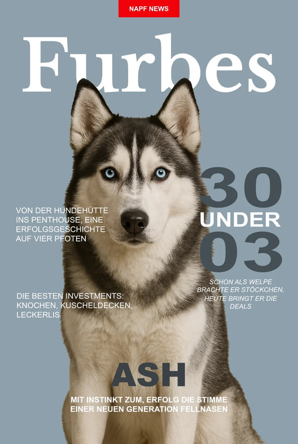 FURBES – Hundeposter im Wirtschafts-Magazin-Look