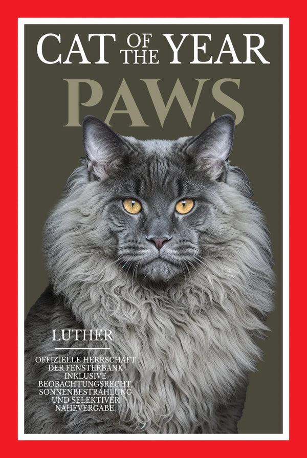 PAWS – Katzenposter „Cat of the Year“