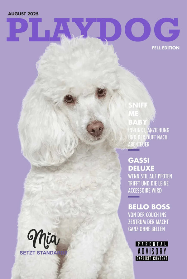 PLAYDOG – Hundeposter im Retro-Cover-Look